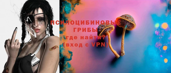 спиды Новодвинск