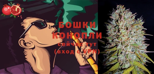 спиды Новодвинск