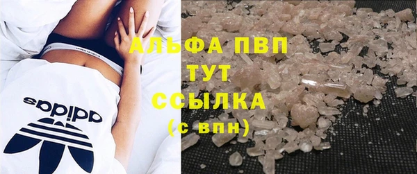 спиды Новодвинск