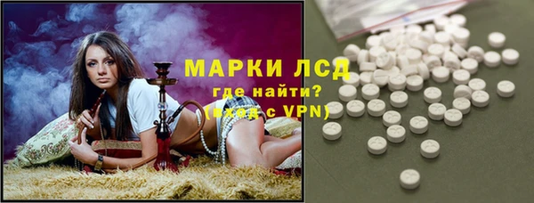 спиды Новодвинск