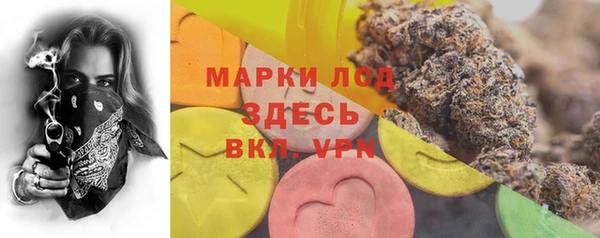 эйфоретик Новозыбков