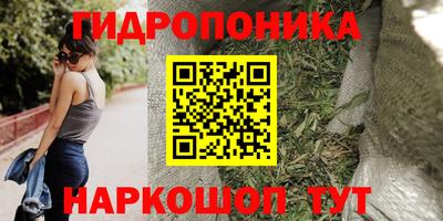 амф Гусь-Хрустальный