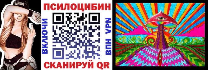 закладки  мега рабочий сайт  Псилоцибиновые грибы мицелий  Тавда 