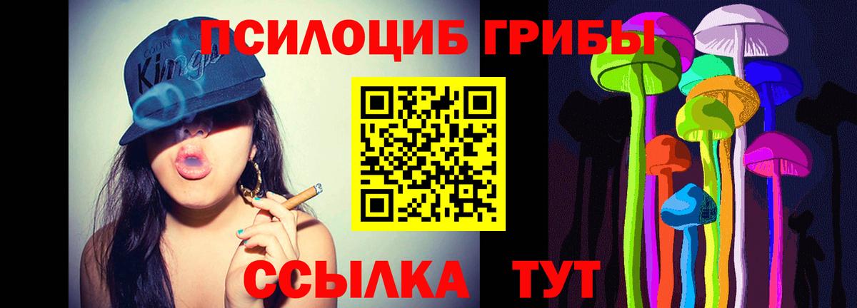 Галлюциногенные грибы ЛСД  Псилоцибиновые грибы прущие грибы  Тавда  Вход с VPN 