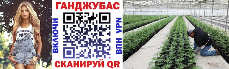 Канабис сатива Тавда